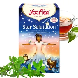 ajurwedyjska-herbata-yogi-tea-star-salutation-eko-17szt-ziolowa-tulsi-mieta