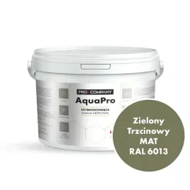 aqua-pro-emalia-akrylowa-szybkoschnaca-27l-zielony-trzcinowy-mat-ral-6013