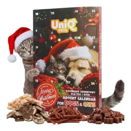kalendarz-adwentowy-dla-kota-ze-smaczkami-na-kazdy-dzien-na-swieta-24-dni