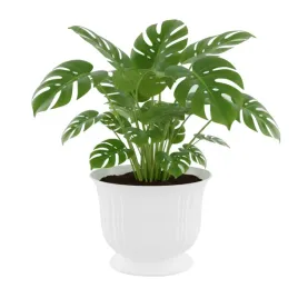 doniczka-miska-oslonka-o-26-cm-h-20-cm-okragla-biala-na-nozce-zlobienia