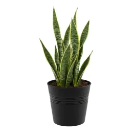 doniczka-wiadro-okragla-o-22-cm-grafit-minimalistyczna-prosta-h-21-cm
