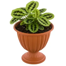 doniczka-na-nozce-okragla-o-31-cm-h-335-cm-terakota-tworzywo-sztuczne