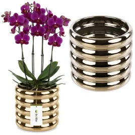 doniczka-ceramiczna-oslonka-zlota-lustrzana-o135cm-gladka-glamour-polysk