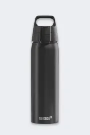 butelka-sigg-wmb-one-1-0-l
