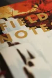 notes-a6-wielokolorowy-kolor-wielokolorowy