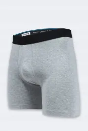stance-majtki-bokserki-szary-rozmiar-xl