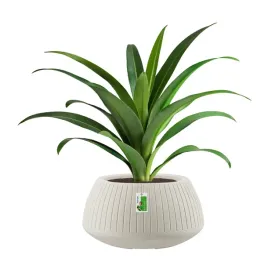 doniczka-okragla-premium-ethick-coro-bowl-tcb40-piaskowa-z-odplywem
