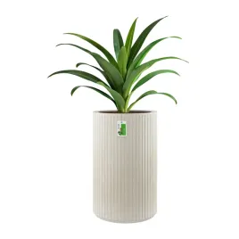 doniczka-okragla-wysoka-premium-coro-round-high-tcr48h-piaskowy
