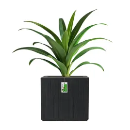 doniczka-kwadratowa-premium-coro-square-tcs40-weglowy-dekoracyjna