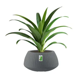 doniczka-okragla-premium-ethick-coro-bowl-tcb40-grafitowa-z-odplywem