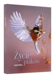 zycie-ptakow-jan-krol