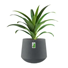 doniczka-okragla-premium-ethick-coro-bowl-tcb48-grafitowy-dekoracyjna
