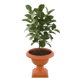 doniczka-gazon-o-47cm-h-525-cm-okragla-na-nozce-terakota-wzor-3d-kwietnik