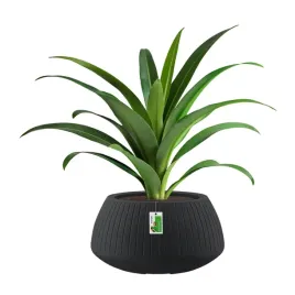 doniczka-okragla-premium-ethick-coro-bowl-tcb40-weglowa-z-odplywem