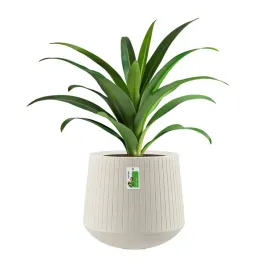 doniczka-okragla-premium-ethick-coro-bowl-tcb48-piaskowy-dekoracyjna