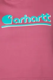 carhartt-bluza-damska-z-kapturem-tencel-fiber-fall-graphic-rozmiar-xs