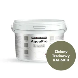 aqua-pro-emalia-akrylowa-szybkoschnaca-27l-zielony-trzcinowy-ral-6013