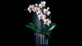 lego-botanicals-orchidea-10311-bohater-brak-waga-z-opakowaniem-0-72-kg