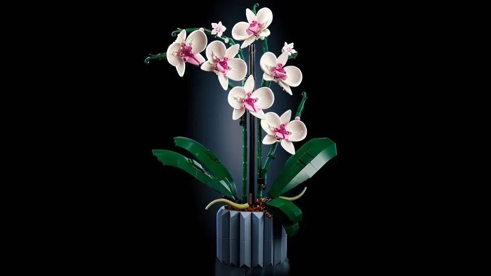 lego-botanicals-orchidea-10311