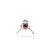 schleich-megalodon-15055-bohater-brak