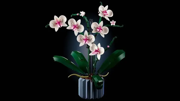 lego-botanicals-orchidea-10311-bohater-brak-certyfikaty-opinie-atesty-ce