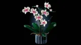 lego-botanicals-orchidea-10311-bohater-brak-certyfikaty-opinie-atesty-ce