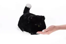 interaktywny-kot-czarny