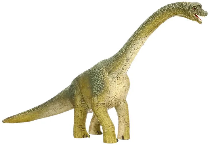 schleich-figurka-brachisaurus-14581-certyfikaty-opinie-atesty-ce