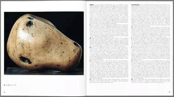 beksinski-1-zdzislaw-beksinski-waga-z-opakowaniem-0-3-kg