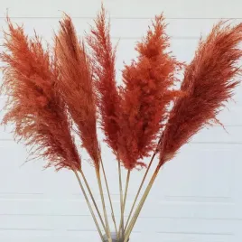 30szt-trawa-75cm-trawa-dekoracyjna-terracotta-grass-plume