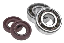 lozyska-walu-i-uszczelniacze-athena-teflon-c3-derbi-gilera-ebe-d50b