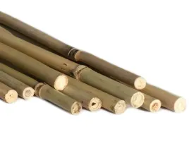 tyczki-bambusowe-60-cm-10-szt-podpory-do-roslin-kwiatow-naturalne-z-bambus