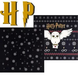 eloy-harry-potter-kalendarz-adwentowy-2025-24-elementy-bizuteria-swieta