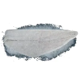 halibut-filet-bez-skory-0percent-glazury-2kg-termoboks