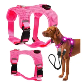 szelki-swiecace-dla-psa-led-swieca-w-ciemnosci-bezuciskowe-typu-guard-l-usb