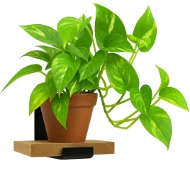 nowoczesny-kwietnik-scienny-polka-scienna-loft-drewno-podstawa-debowa-25x25