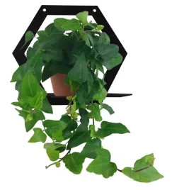 kwietnik-scienny-metalowy-wieszak-na-kwiatki-nowoczesny-loft-czarny-6