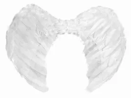 skrzydla-skrzydelka-aniolka-aniola-jaselka