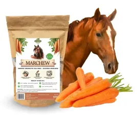 k-smakolyki-dla-koni-marchew-500g-marchew-dla-koni-smaczki-dla-koni