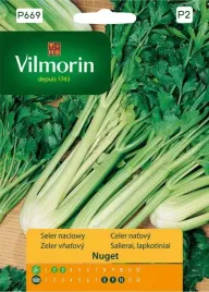 seler-naciowy-nuget-nasiona-05g-vilmorin-warzywa-salatki-odmiana-wczesna