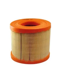 filtron-ar-302-1