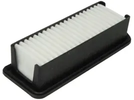 filtron-ap-173-5