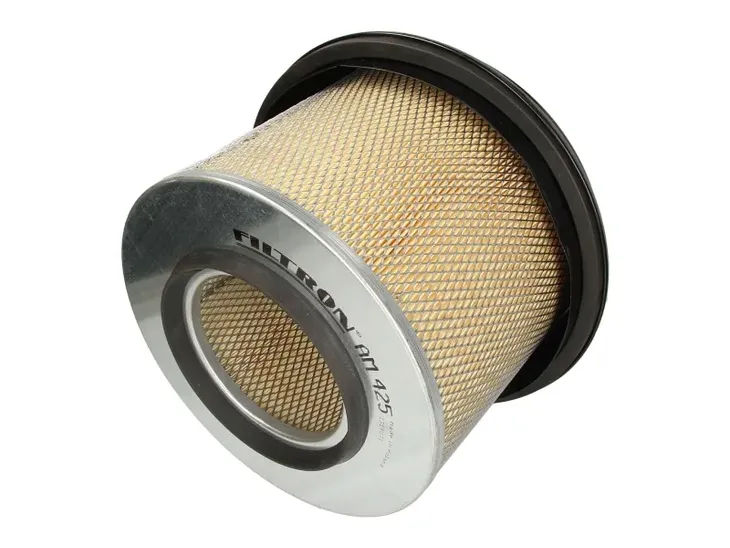 filtron-am-425-wysokosc-255-mm
