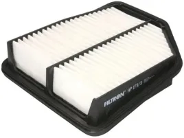 filtron-ap-176-1