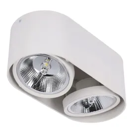 oprawa-natynkowa-2x-ar111-tuba-led-ruchoma-gu10