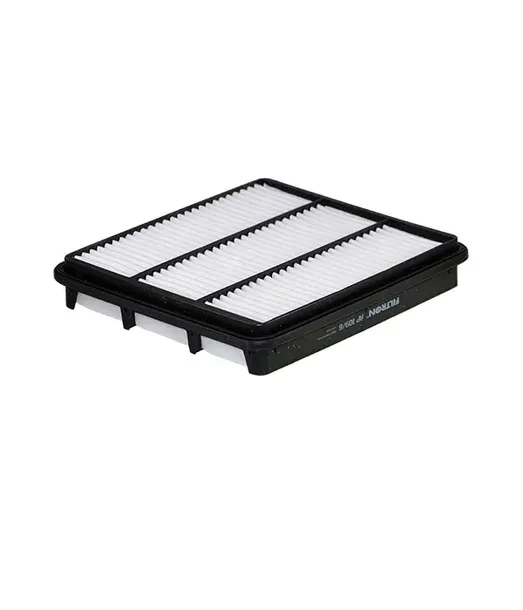filtron-ap-109-6