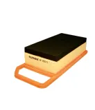 filtron-ap-090-5
