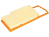 filtron-ap-078-5