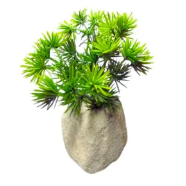 sztuczna-roslinka-roslina-dekoracyjna-do-akwarium-ozdoba-zielona-8cm
