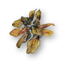 ucho-cielece-dla-psa-naturalny-gryzak-dla-malych-psow-uszy-cielece-10-szt